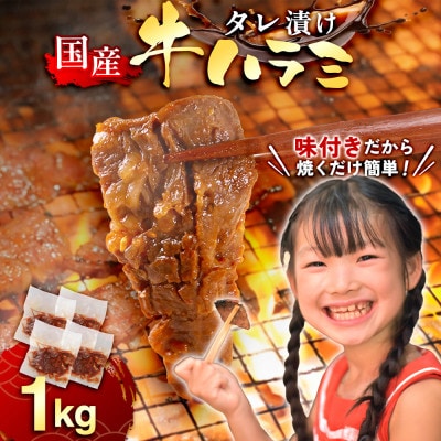 国産 特製たれ漬 牛ハラミサガリ 250g×4パック【配送不可地域：離島】