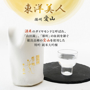 【個数限定・稀少品】東洋美人 特吟 純米大吟醸 播州愛山 720ml×1本