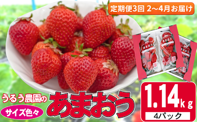 定期便 3回 いちご 発送時期 2027年2月～4月 うるう農園のあまおう サイズ色々 4パック 約1.14kg 配送不可 離島 果物類 フルーツ 安心 安全 美味しい 食べやすい 