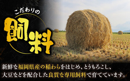 【全3回定期便】博多和牛 肩ロース  スライス 400g 【2月発送開始】《豊前市》【JA全農ミートフーズ株式会社】 牛肉 肉 おすすめ 人気[VET029]