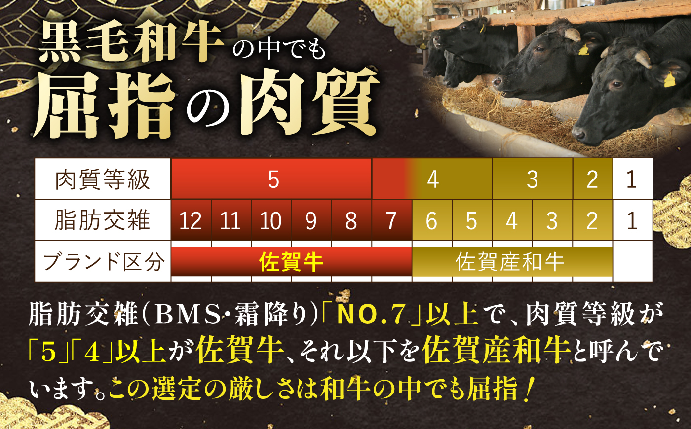 佐賀牛 SPサーロインサイコロ 300g 【株式会社いろは精肉店】 [IAG237]
