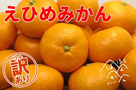 【高評価★4.7】 訳あり 家庭用 愛媛 みかん 5kg 清家ばんかんビレジ 柑橘 果物 大小 サイズミックス 温州 みかん 訳あり 美味しいみかん 訳アリみかん 愛媛のみかん 愛媛県 愛南町 清家ばんかんビレッジ 5198656_10000