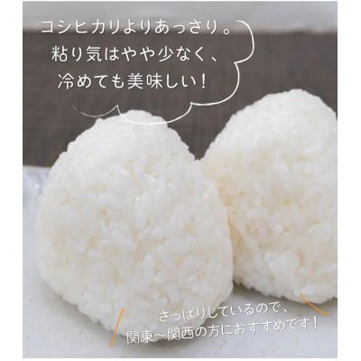 ふるさと納税 刈羽村 【新潟県早生品種】【無洗米】刈羽村産こしいぶき 10kg(5kg×2袋) |  | 01