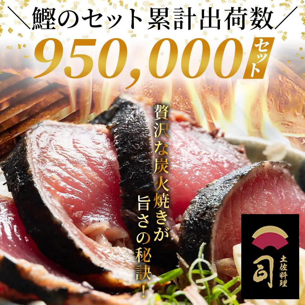 鰹丼 10袋 鰹丼 tr-0043