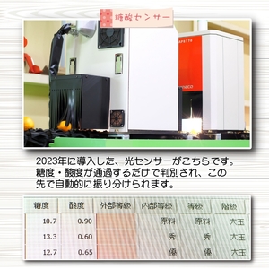 青切り みかん 5kg / 極早生 極早生みかん 温州みかん 甘い 家庭用 和歌山 柑橘 ※9月下旬～10月順次発送 ※北海道・沖縄・離島への配送不可  【nuk001-r-5B】