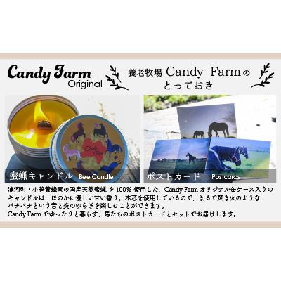 ふるさと納税 浦河町 天然蜜蝋100%手作り「キャンドル」&馬たちの「ポストカード」セット[39-1122] |  | 01