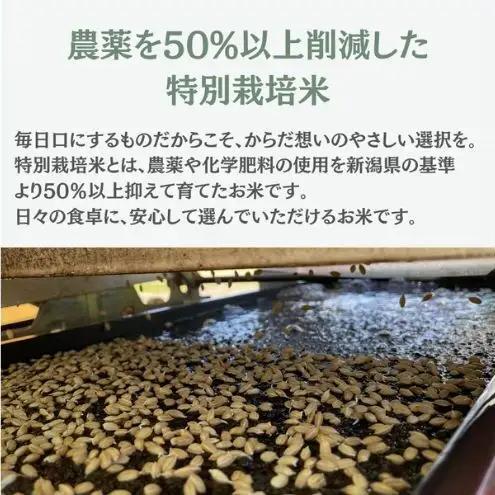 令和8年産 特別栽培米コシヒカリ 20kg