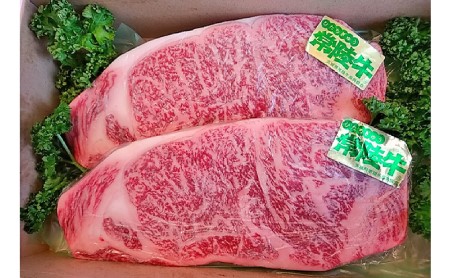 常陸牛ステーキ用 200g×2 合計400g アウトドア お肉 肉 牛肉 和牛 黒毛和牛 ステーキ 2枚 ステーキ肉 ステーキカット ブランド 常陸牛 お取り寄せ 冷凍 茨城県 守谷市 ※沖縄県・離島への配送不可