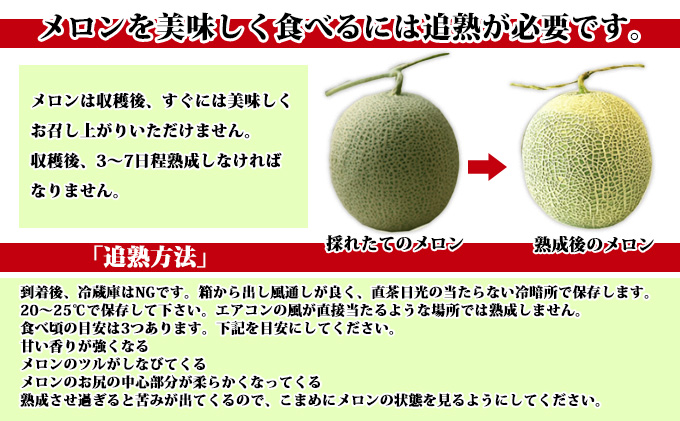【2024年7月下旬～発送】北海道 富良野 メロン 2Lサイズ 1.5kg以上×2玉 (スイートベジタブルファクトリー) メロン フルーツ 果物 新鮮 甘い 贈り物 ギフト 道産 ジューシー おやつ