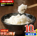 【ふるさと納税】令和6年産『甲佐の輝き』無洗米10kg（5kg×2袋）【配送月選択可！】／出荷日に合わせて精米／国産 ブレンド米 白米 訳あり 送料無料 マイスター 複数原料米 国内産 熊本産 熊本県産 【価格改定XC】