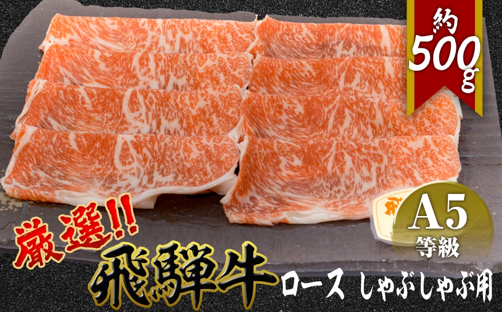 
                  店主こだわり雌牛 飛騨牛A5等級　ロース　しゃぶしゃぶ用　約500g [No.039] ／ 牛肉 ブランド牛 鍋 メス牛 冷凍 岐阜県 特産
                