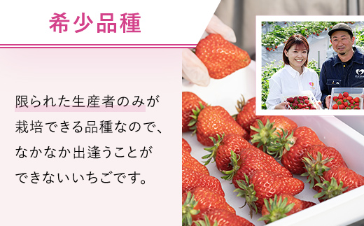 【2026年2月から順次発送】 魅惑の黒いちご「真紅の美鈴」1箱 ふるさと納税 いちごイチゴ 苺 真紅の美鈴 黒いちご 黒イチゴ しんくのみすず 甘い 完熟 魅惑 赤 深紅 ワイン色 朝収穫 新鮮 美