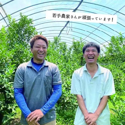 【先行予約】完熟きんかん「たまたま」2kg 果物 フルーツ くだもの 柑橘 金柑 おすすめ ブランド ギフト 贈り物 贈答 プレゼント おすそ分け おやつ スイーツ デザート 大きい 糖度が高い 常温