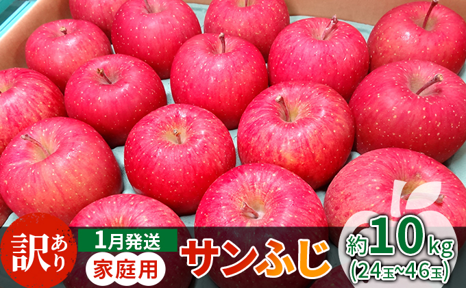 1月発送 家庭用 サンふじ 約10kg【訳あり】【原正りんご 青森県産 津軽産 リンゴ 林檎】