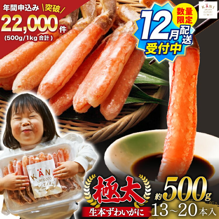 【ふるさと納税】 【12月配送受付中 数量限定】【選べる配送時期】 極太 生本ずわいがに 棒肉ポーション 約500g 13本～20本入り 殻剥き不要 ! 脚肉のみ ! [カネダイ 宮城県 気仙沼市 20565783] 蟹 かに カニ ずわいがに ズワイガニ ずわい蟹 ズワイ蟹 カニ脚 蟹脚 カニ棒肉
