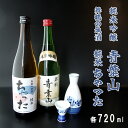 【ふるさと納税】 地酒飲み比べセット 純米吟醸 青葉山 舞鶴の地酒 純米ちゃった セット 720ml×2本 日本酒 【送料無料】 地酒 日本酒 お酒 アルコール 飲料 京都 舞鶴 酒屋 蔵元 酒蔵 池田酒造 贈答 熨斗