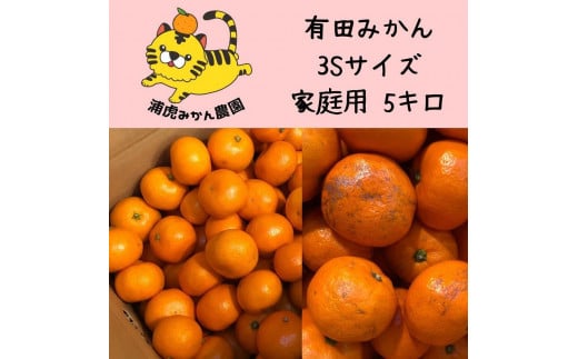 
            温州みかん 家庭用箱込み5kg ( 3Sサイズ以下指定)小さなミカンが好きな人におすすめ
          