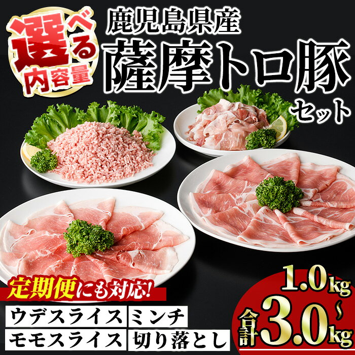 【ふるさと納税】＜内容量・回数が選べる！＞鹿児島県産薩摩トロ豚モリモリおためしパック(合計1kg〜3kg / 定期便 全3・6・12回 計3kg～12kg) 国産 鹿児島県産 豚 豚肉 小分け 冷凍 スライス 4種 セット 食べ比べ ひき肉 ミンチ モモ ウデ 切り落とし 定期便【KNOT】