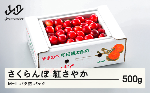 《先行予約》2026年 山形県産 紅さやか バラ詰め(パック）500g M～L やまのべ多田耕太郎のさくらんぼ サクランボ F21A-393