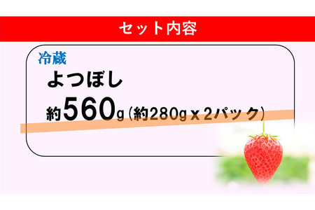 【新農場オープン記念】【先行受付 2026年1月より発送】【農場直送！】よつぼし(約280g×2P)【ふるさと納税 基山町産 いちご イチゴ 朝採れ 完熟果】K100011