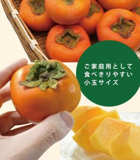 SA2739　庄内柿　約7.5kg(40玉入)　Mサイズ