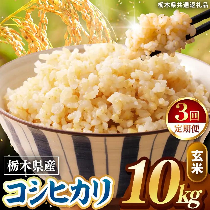 令和8年度産 先行予約 【定期便3回】こしひかり 玄米 約10kg