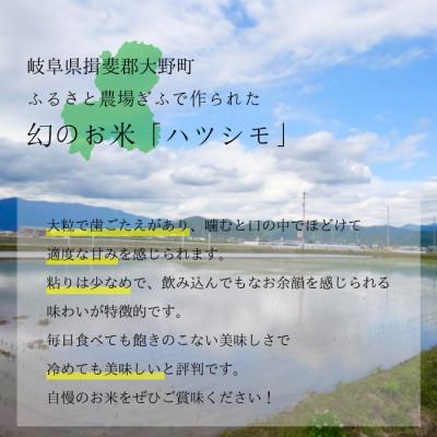 ふるさと納税 大野町 令和5年産 岐阜県産 無洗米 はつしも 5kg |  | 01