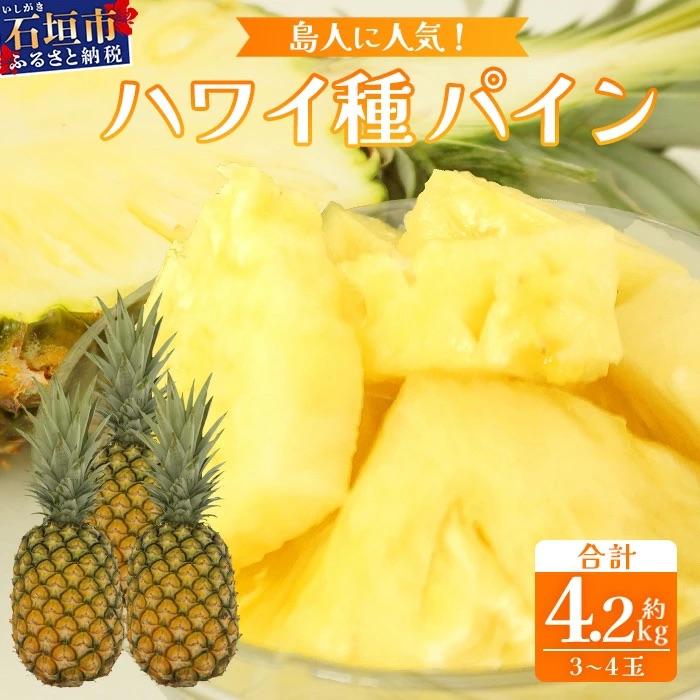 ふるさと納税 石垣市 【先行受付】《2026年7月上旬頃より順次発送》石垣島産 ハワイ種パイン 3〜4玉セット約4.2kg