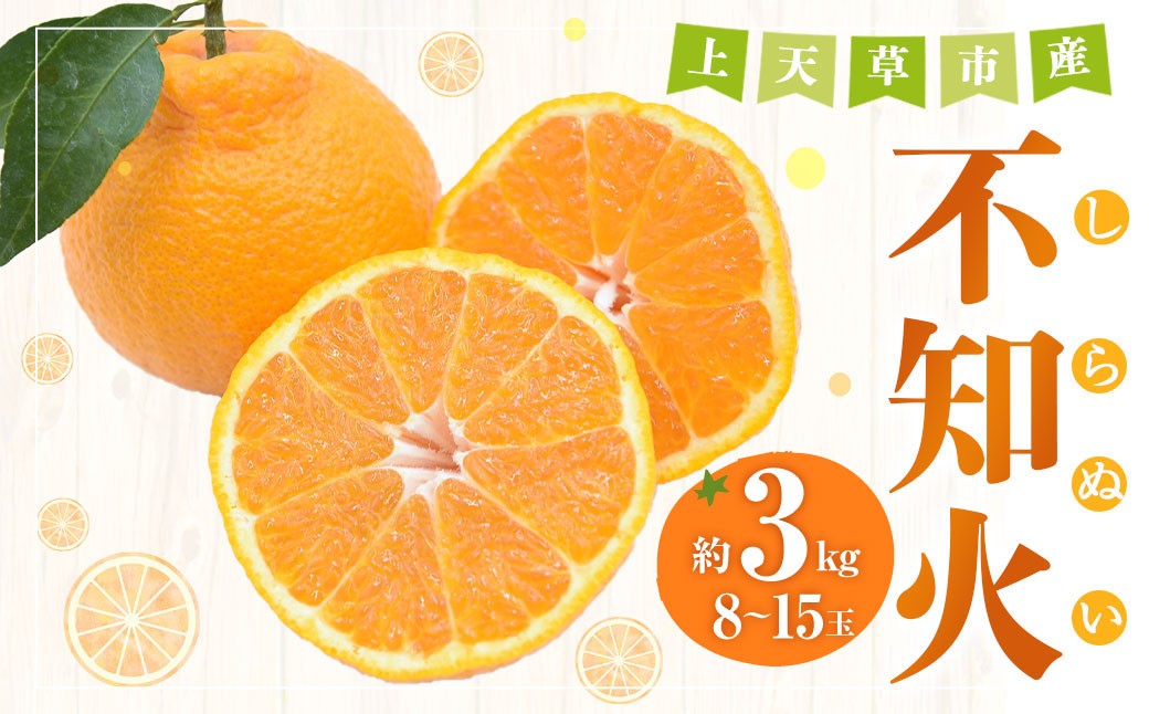 
            【先行受付】上天草市産 不知火 約3kg（8玉～15玉） 柑橘 果物 フルーツ 熊本県 上天草市 【2026年3月下旬から5月上旬順次発送予定】
          