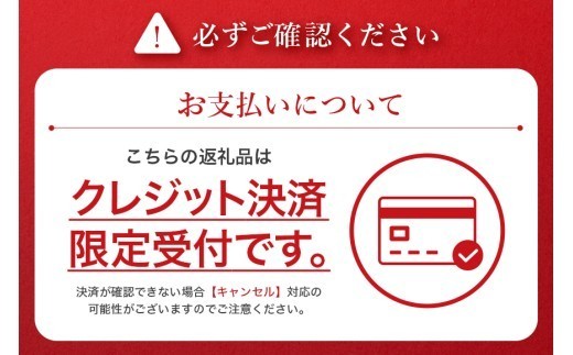 巖手屋 おばあちゃんの南部せんべい しょうゆ 10枚 × 3袋
