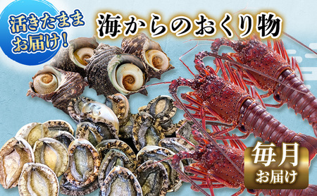 【アワビについて注意事項あり】海鮮セット 定期便 年12回 水産 伊勢海老 海藻 おかず