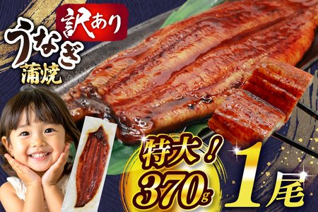 うなぎ 訳あり 鰻 蒲焼 特大 1尾 約370g 不揃い 規格外 小分け [大黒物産 福岡県 宇美町 um40bak830008]