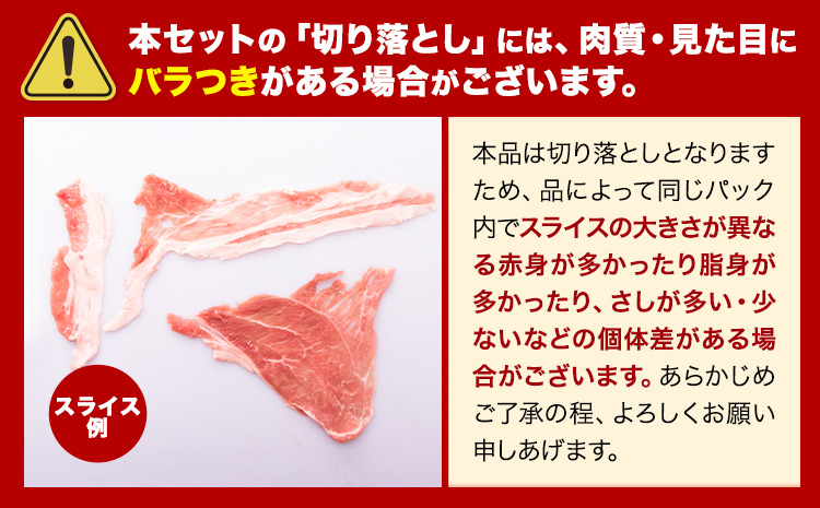 豚肉 ひごの ポーク バラエティ セット 2.4kg 豚肉 しゃぶしゃぶ 切り落とし 豚ロース バラ 豚バラ スライス 以上 真空 お楽しみセット 不揃い 数量限定 簡易包装 冷凍配送 小分け 《1月