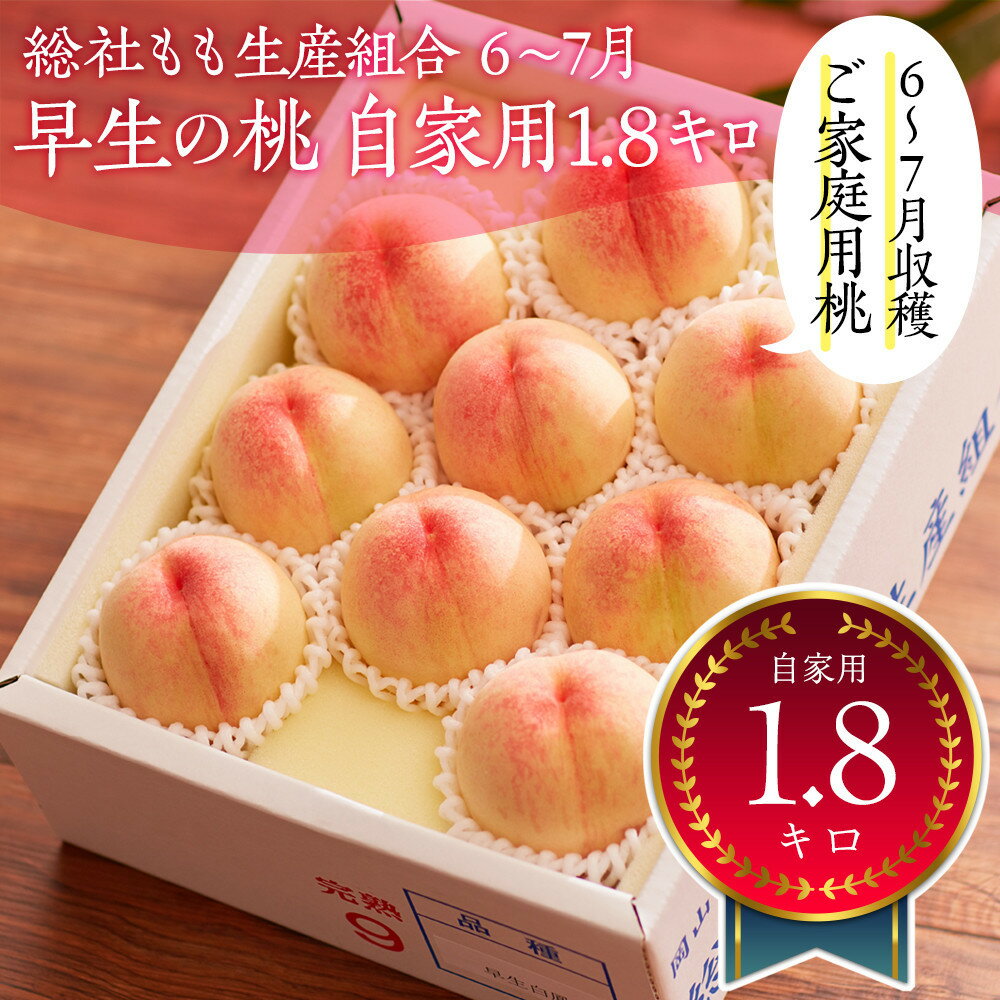 【ふるさと納税】総社もも生産組合　6月-7月早生の桃　自家用1.8kg【6月下以降発送】