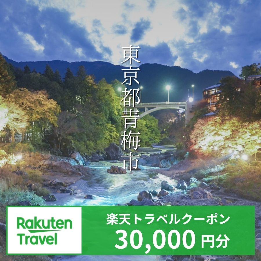 【ふるさと納税】【東京都青梅市】対象施設で使える 楽天トラベルクーポン 寄付額100,000円（30,000円クーポン）　高級宿 宿泊券 旅行 旅行券 楽天トラベル トラベル クーポン ホテル 旅館 東京 青梅