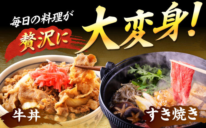 【A4～A5】 博多和牛 大判霜降り 贅沢切り落とし 1kg (250g×4P) 吉富町/株式会社MEAT PLUS [BGAB111]