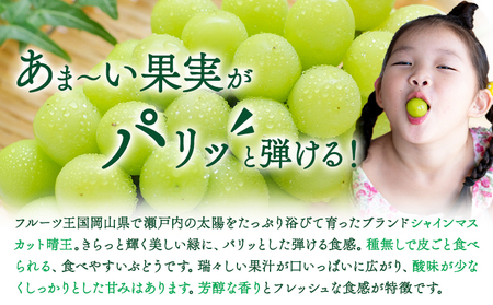 【先行予約】ぶどう シャインマスカット 晴王 1.4kg 2房 マスカット岡山《9月上旬-11月中旬頃出荷》岡山県 浅口市 送料無料 フルーツ 果物 マスカット お取り寄せフルーツ【配送不可地域あり】