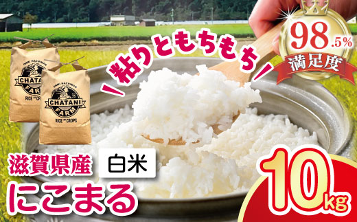 【新米】【7年産】近江米　にこまる白米【10kg【5kg×2袋）】【V018W1】