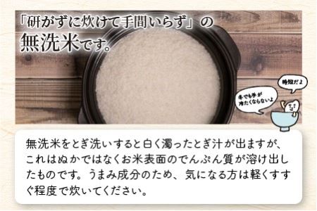 【令和5年産】定期便 ≪3ヶ月連続お届け≫ 福井県のブランド米 いちほまれ 無洗米 2kg × 3回 計6kg 【 無洗米 人気 品種 ブランド米 特A 】 [A-6151]