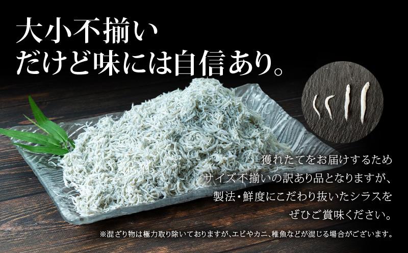 訳あり 釜揚げ しらす 500g 1パック 冷凍 小分け しらす パック しらす 駿河湾 の恵み シラス サイズ不揃い