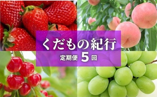 
No.2447【先行予約】株式会社円和 青果部【全5回】くだもの紀行定期便【2024年発送】
