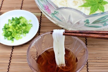 《夏季限定》生も～ちもち ひやむぎ （250ｇつゆ付き）×5袋セット／盛谷製麺 冷麦 冷や麦 生麺 めん 麺類 お取り寄せ 信州 諏訪【35-02】