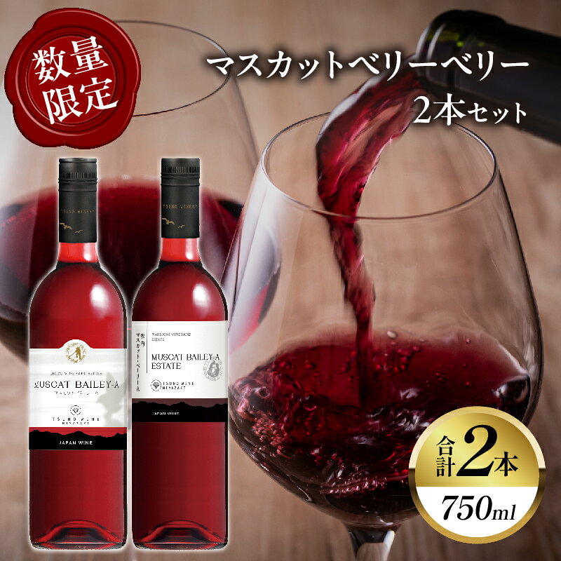 【ふるさと納税】【数量限定】マスカットベリーベリー 2本 セット 酒 飲料 アルコール 国産 ぶどう 赤ワイン 辛口 WINE 果実酒 飲み比べ ご褒美 パーティー お祝い 贅沢 記念日 イベント 家呑み 晩酌 ギフト 贈り物 贈答 プレゼント 宮崎県 都農町 送料無料