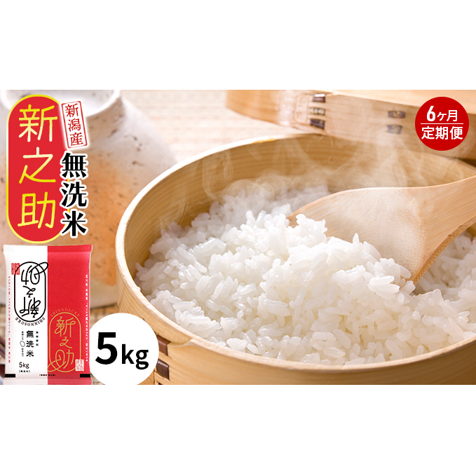 無洗米 新潟産 新之助5kg 6ヵ月定期 5kg 定期便 産地直送