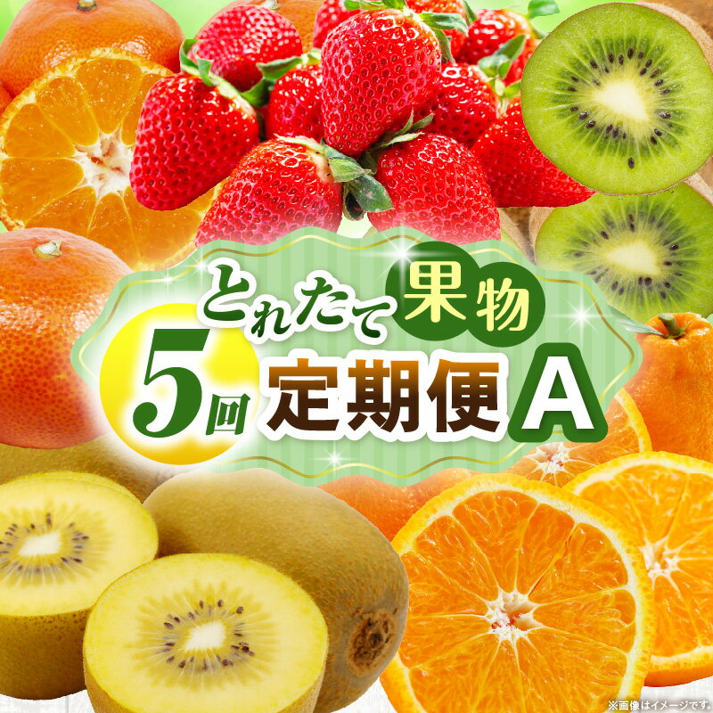 【ふるさと納税】とれたて果物 5回定期便A 果物 フルーツ 果物定期便 フルーツ定期便 定期便 5回 いちご キウイ デコポン ゴールドキウイ みかん 濃厚 旬の果物 定期 人気 おすすめ 贈答 贈り物 青果物 糖度 香川県 三木町 送料無料 レビューキャンペーン