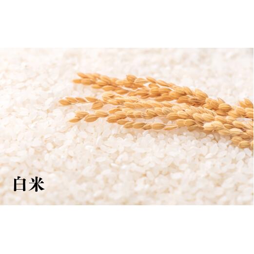 【ふるさと納税】8-100-001　新米・増毛町産ななつぼし 5kg×6ヶ月（10月～3月）【横関農園】　お米　お届け：10月～3月まで毎月発送（各月上旬に発送依頼、中旬以降発送）