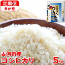 【ふるさと納税】【新米】【定期便 6か月】令和6年産 古河市産コシヒカリ 5kg◇｜米 コメ こめ ごはん ご飯 ゴハン 白飯 単一米 国産 コシヒカリ こしひかり 5kg 定期便 6ヶ月 6回 茨城県 古河市_DP35