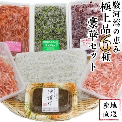 ふるさと納税 吉田町 【明治神宮・奉献品】駿河湾の恵み『極上品6種豪華セット』【丸三水産】