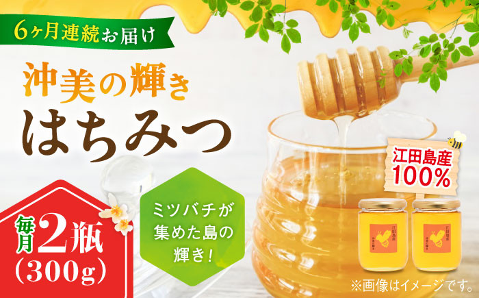 
            【全6回定期便】江田島産100％ はちみつ 『沖美の輝き』300g×2本 ハチミツ ハニー 蜂蜜 国産 広島 江田島市/はつはな果蜂園 [XCD025] ハチミツ 国産蜂蜜 国産はちみつ 国産純粋はちみつ 蜜 蜂蜜 はちみつ ハニー honey 人気ハチミツ 日本蜜蜂 純粋はちみつ 常温 保存 備蓄 防災食 非常食 保存食 産地直送 国産 定期便
          