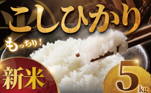 新米 R8年度産 コシヒカリ 5kg 米 お米 ブランド米 国産 美味しいお米 白飯 飯 ご飯５kg 5キロ 精米 白米 こしひかり こめ コメ おこめ okome kome おむすび おにぎり 弁当 美味しい グルメ 朝食 贈答 取り寄せ ギフト 魚 肉 の おかず にあう 令和8年産 千葉県産 鍋屋商店 千葉 東金